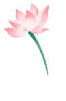 171156to9u9i1j49i91t19.gif