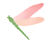 171157z3c93eeccwrcn2pw.gif