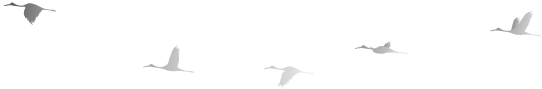 095156abwx9mafmf3wtw8d.png