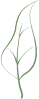 164818e8ex2rf7hzrrh2er.png