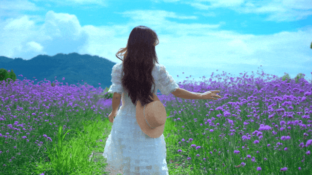 165948bx1kjqrrxjq00qxr.gif