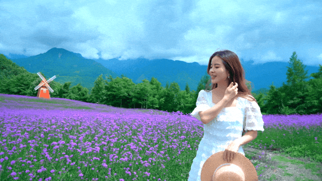 165948pseep2me4jsmm31p.gif