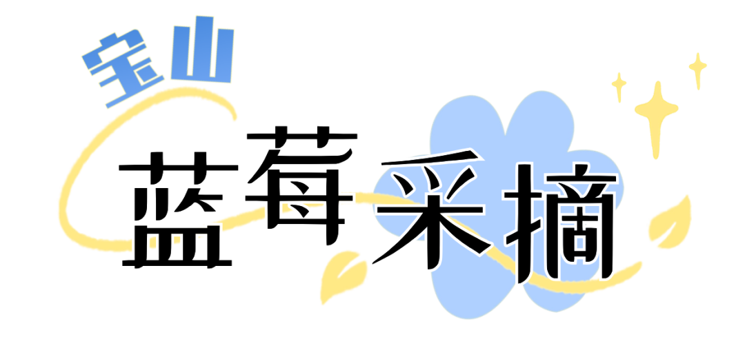 165949ganjrcdjdvdvzjxo.png