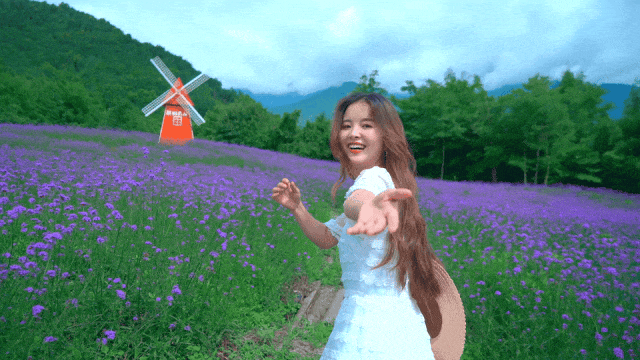 165949ng1wz6626bddzbh9.gif
