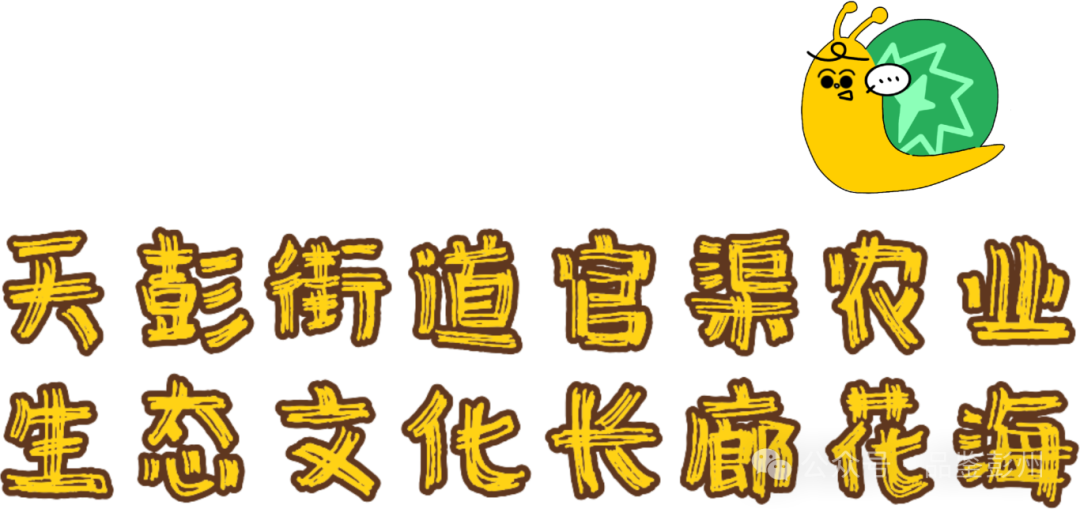 173907i5t27t9o8z2oar8l.png