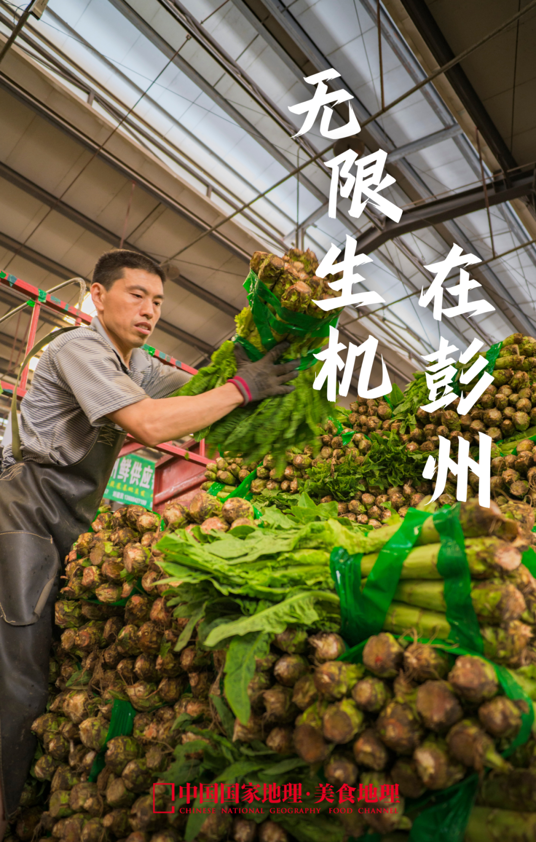 101602x745t81q4b82775d.png