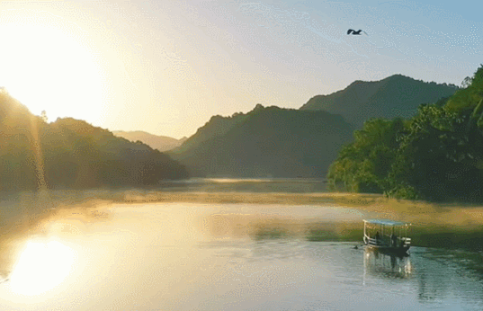 104142xgsfudwv25fi3vgi.gif