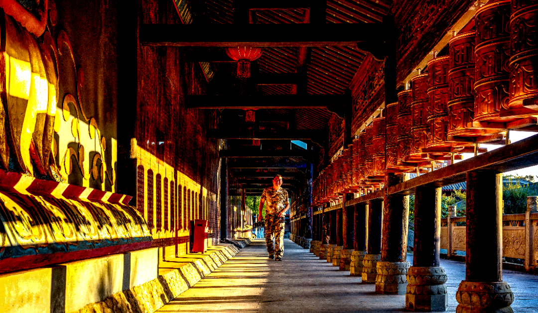 171024sopie4ie8f22sg3a.png