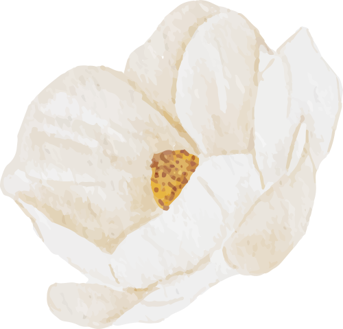 094058gxmqvsi777zrawi7.png