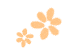 134555oomzolwyyoz00205.gif