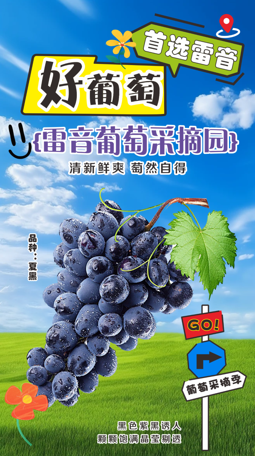 144144z8orxxnnzgo45tre.png