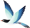 101751z7xxv6x5ejbcbb5a.png