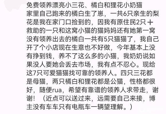 【无偿领养】三花、橘白、狸花小奶猫-1.jpg