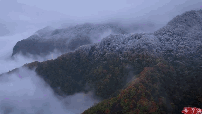 092421rzg8ny8vf3uuyygn.gif