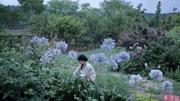 092422oprlz4omwribs1m8.gif