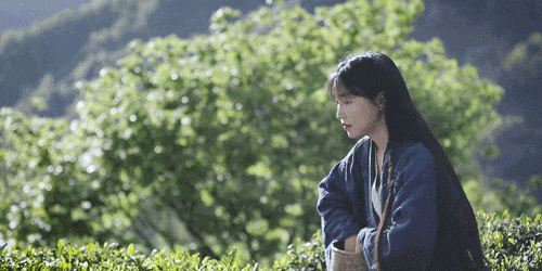 092423ef956effe4lnodvw.gif