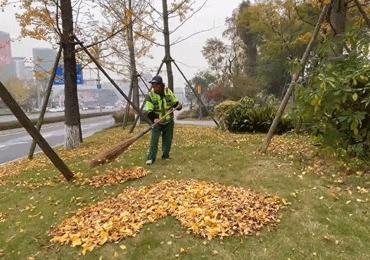 095219acbvtc255ht27f0b.gif
