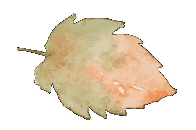 095219qnbnk0djen3be9kl.gif