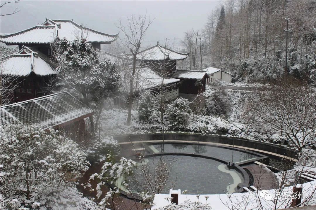 131236etzmjdqnq0isf09f.jpeg