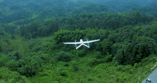 094144ellvuk50flk8llv5.gif