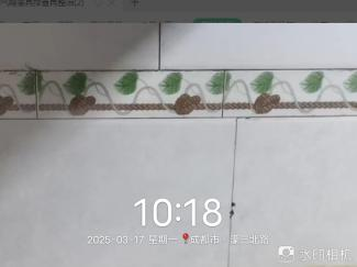 091032h0su38kash0o6z8p.png