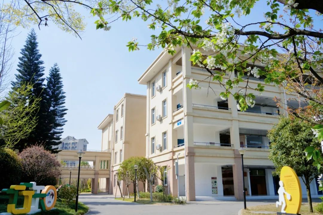 090817zjcwzpluw3zo73pc.jpeg