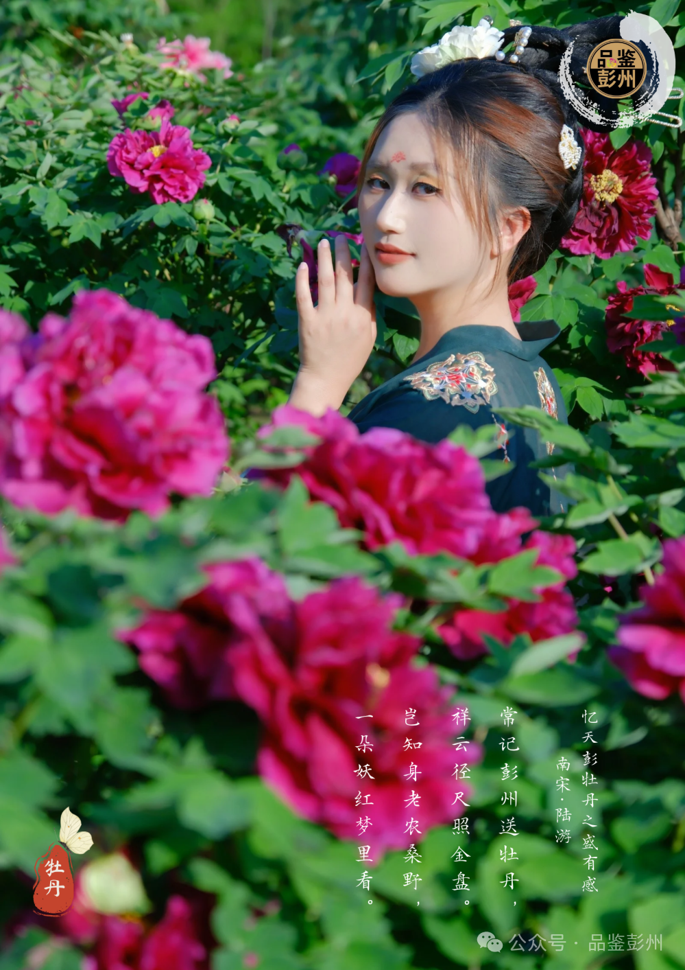 1e893f0f18f530950a58b2c8b1f78d49.png