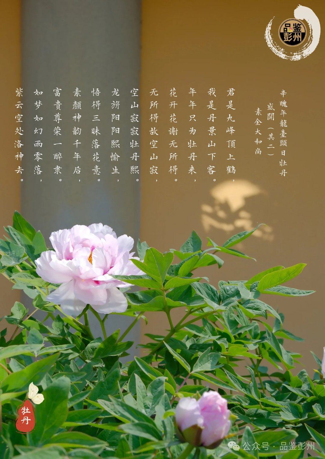 49f6e7ee69fc4fb520e0e3f6de1cc87f.png