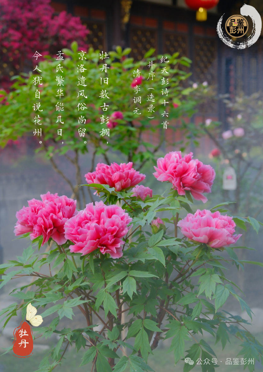 ab17cb2bcbbc4d152327fc456e21b882.png