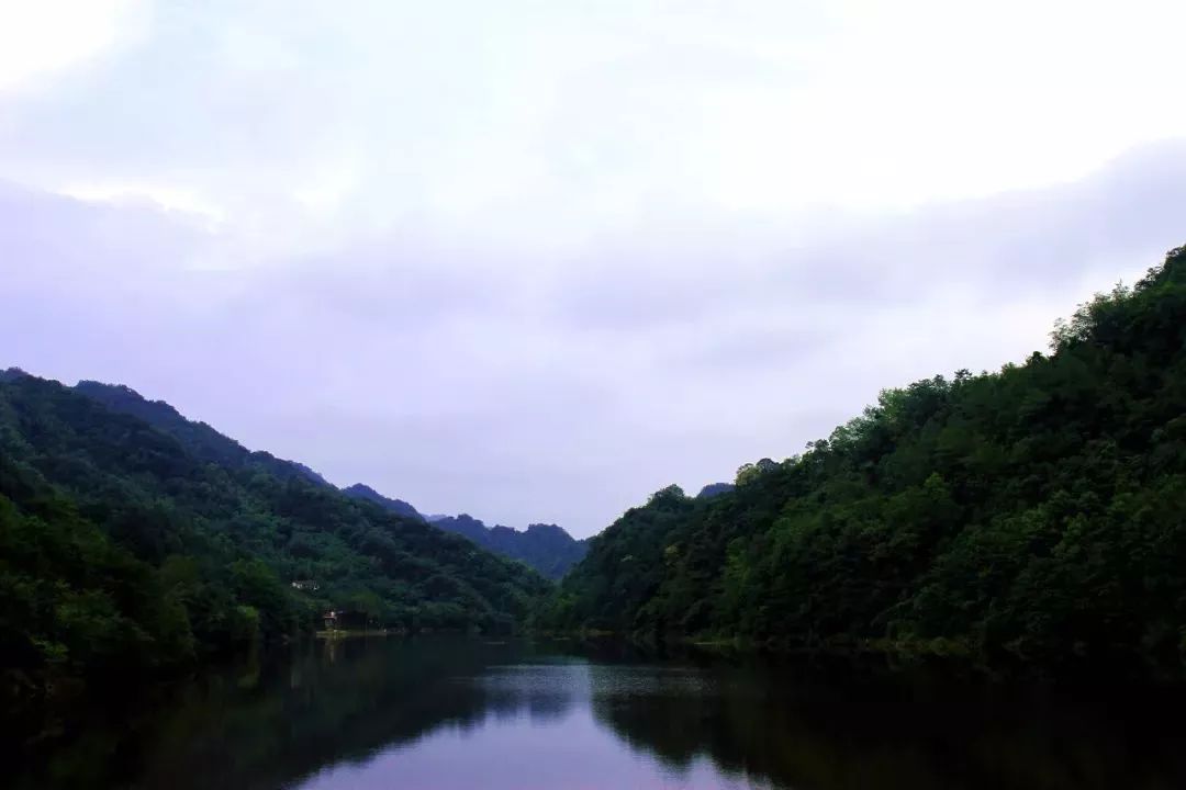 115104tkv4299xy04002yx.jpeg