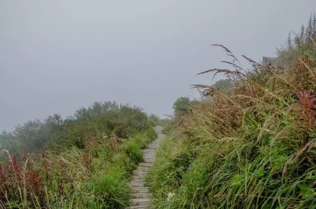 121608jlm84v8jci99aa6f.jpeg