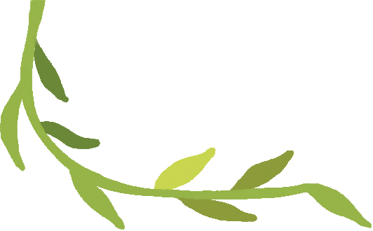 144542r6eiipnadn122tsv.png