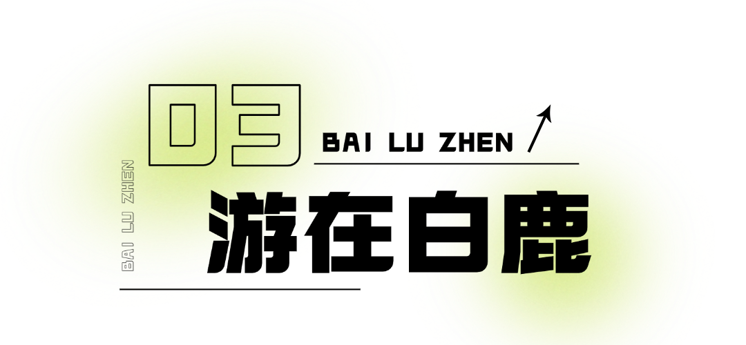 144544n3n4z5fq3ny8q1dt.png