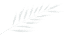 145706d1ukkcprn9rukk1k.gif