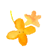 a4f6c6cfb615c1a42832fe99ce0b1168.gif