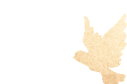 092127qfh4hr5hidrqohh5.gif