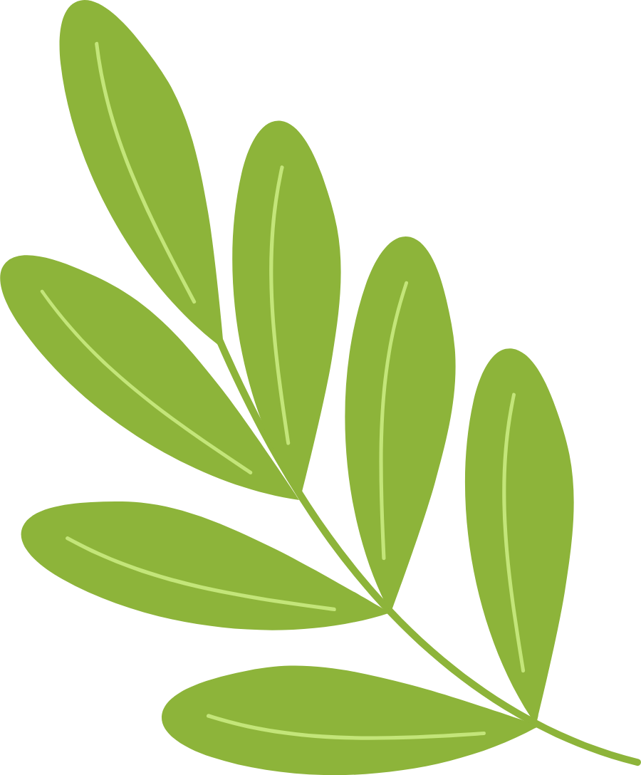 151732grqc6uqx647110fj.png