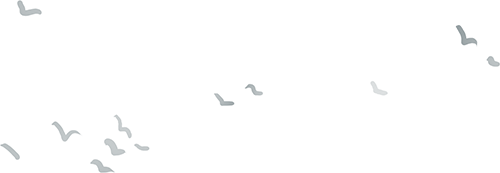 163640pdnz6nibmzphiddz.png