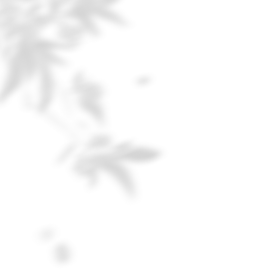 091427resloasobo07dlom.png