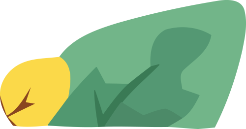 4513dfabad53aeebbed05698e025c782.png
