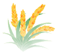 100535sruan6cgjrmmgjhh.gif