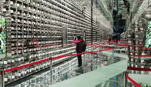 094809jlzjlluqjf8q6sw1.gif