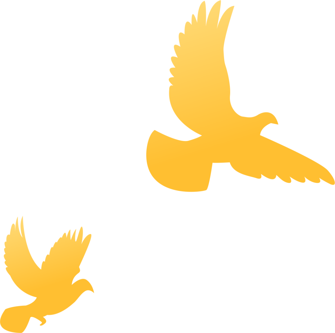 164936arruyf344mzmrawy.png