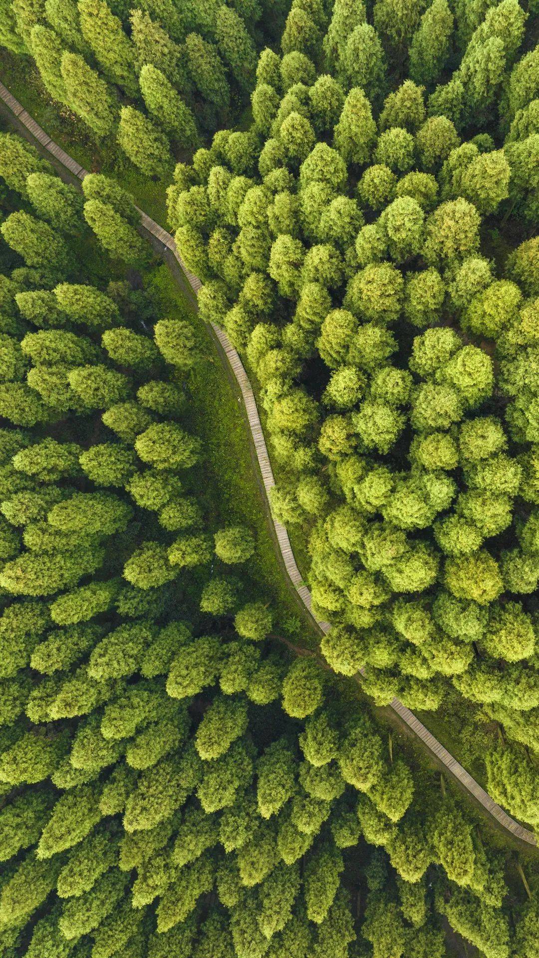 092822qmsxd4lh3mcl84rc.jpeg