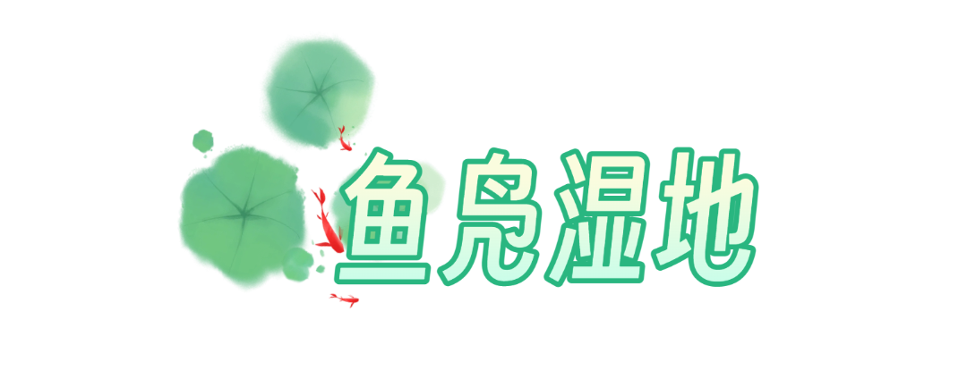092822xvc867dvc6x4rpum.png