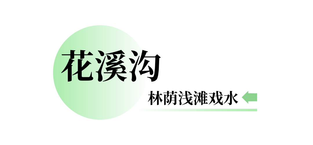 092255zq5ecggcq5242yyy.png
