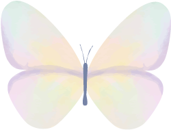 180110qyge9yeueredu1bi.png