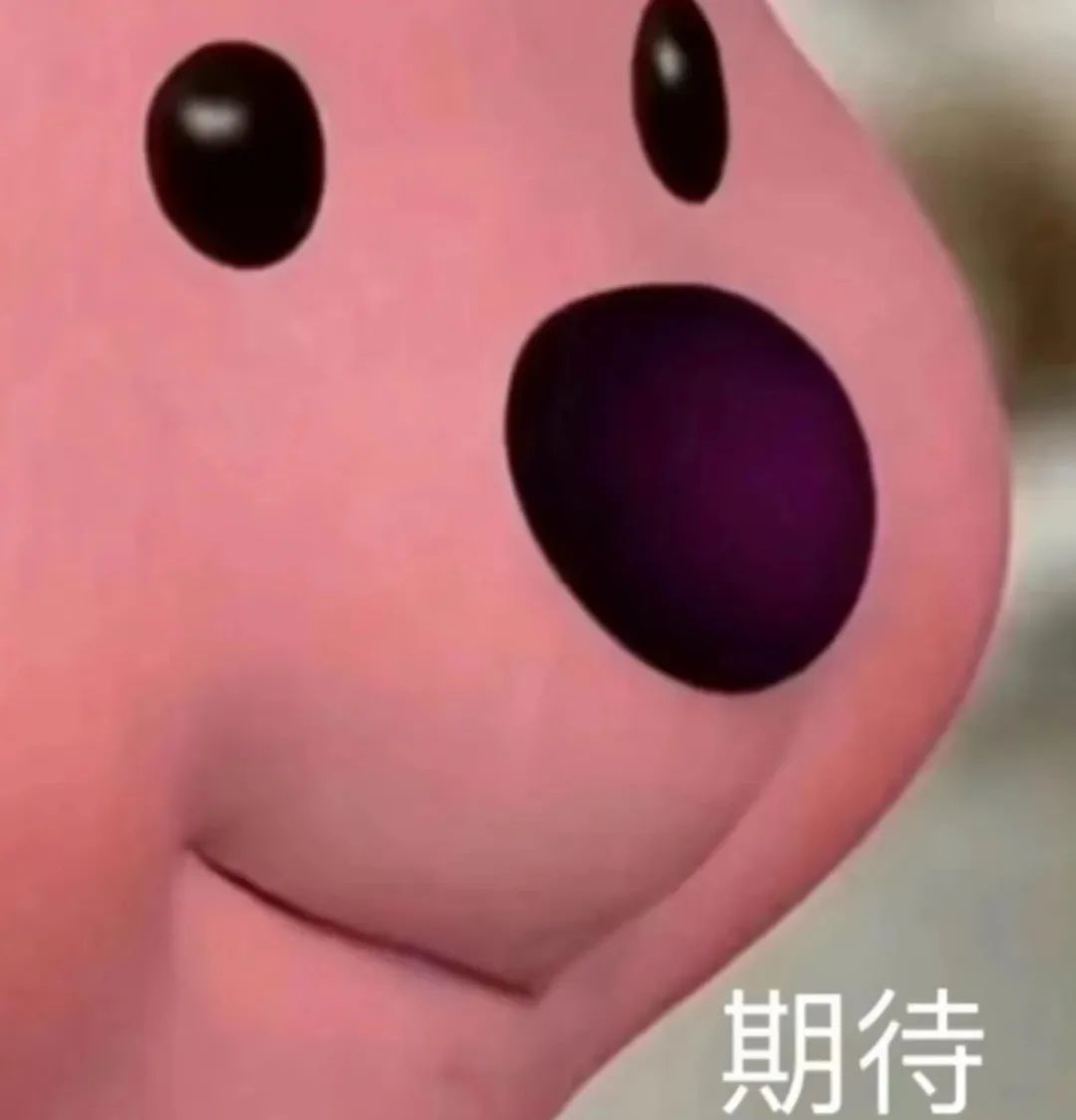 094744d8ggs6sj33gafh7h.jpeg