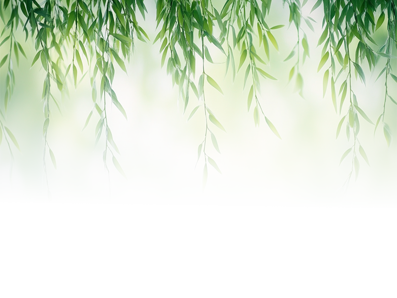 105159nwtda95avzttlyb7.png