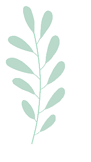 105451ufleoo6ell2l338w.gif